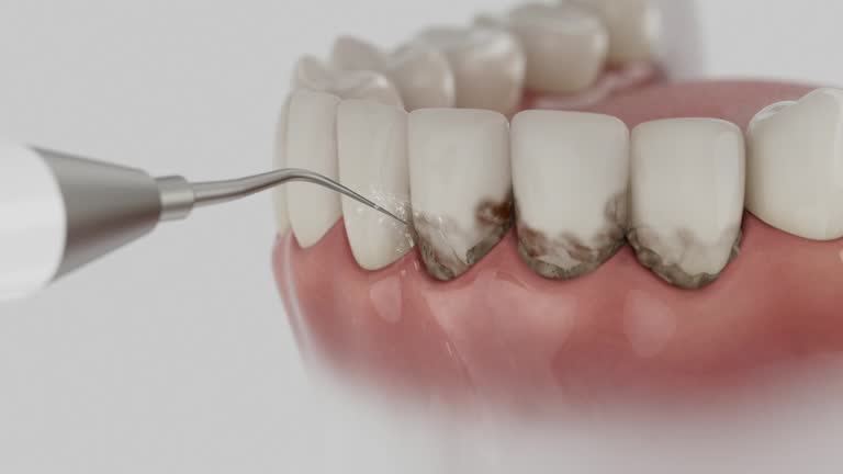 Reliable Dental contractor in Leadville, CO by Dentist Open Now